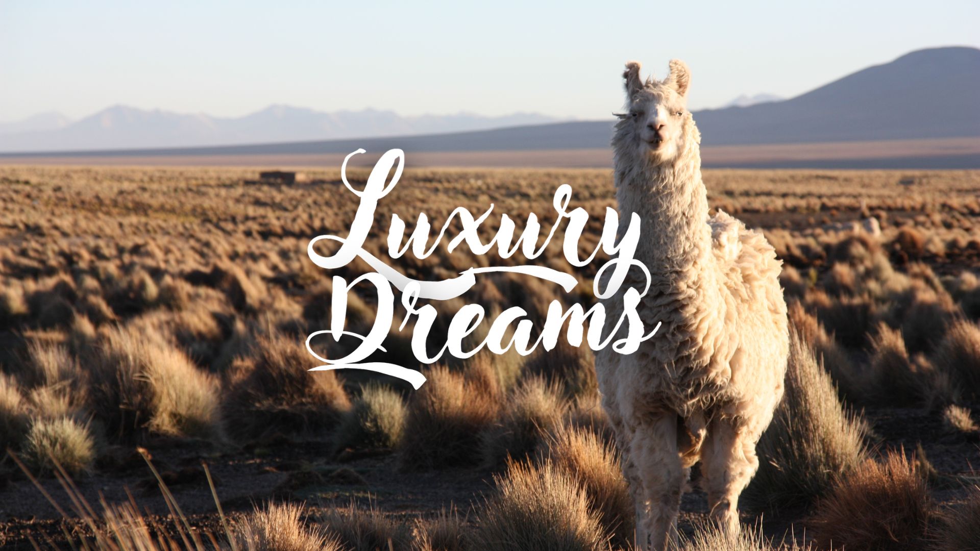 HOTELS on the Altiplano in Bolivia, Peru Online